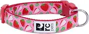 RC Pets Sporty, Fun, Functional Clip Collar-1/2 | Strawberries, PX-Small