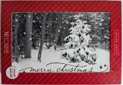 Image Arts Christmas Cards Tree/Red Stars 16 pack *NEW*