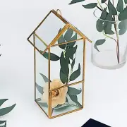 CLEAR GOLD 10.5" tall Geometric GLASS TERRARIUM VASE Metal Frame Centerpieces