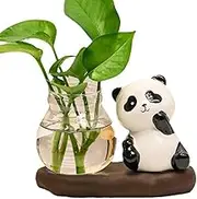 Desktop Glass Planter Vase Holder,Panda Plant Terrarium Stand,Scindapsus Container,Desktop Plant Propagation Vase,for Bedroom,Living Room,Office,Dining Room