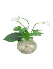 [Willow & Silk] Hammered Squat Antique Gold Bowl With Pot 35.5cm in Gold
