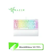 在飛比找蝦皮購物優惠-【TN STAR】Razer 雷蛇 BlackWidow V