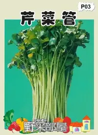 在飛比找Yahoo!奇摩拍賣優惠-【野菜部屋~】P03 芹菜管種子4公克 , 又稱~粗管芹菜 