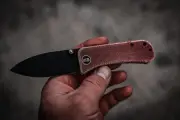 WE Banter burgundy canvas micarta scales