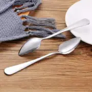 Steel Fruit Puree Tool Baby Food Processer Kiwi Scoop Grapefruit Spoon