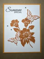 Card Set Of 4 Stampin Up Tangelo Twist “Someone Special”