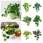 EVA Artificial Plant Soft Glue Simulation Bonsai Home Office