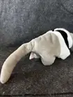 Ty Beanie Babies Ants the Anteater 1998 Rare with Tag Errors