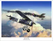Fokker E.V WWI Aviation Art Print - 11" x 14"