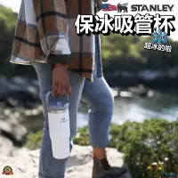 在飛比找蝦皮購物優惠-17號倉庫📦24h台灣現貨🔹美國版 STANLEY 吸管杯 