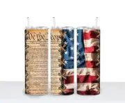 We The People 20oz Stainless Steel Double Wall Tumbler With Straw