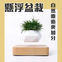 在飛比找ihergo愛合購優惠-免運!神奇！懸空的植物擺飾【懸浮盆栽】磁浮 飛起來 植栽 布