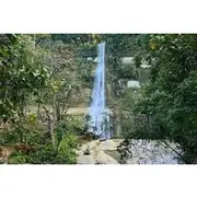 Save 8.01%! Private Bohol Anda, Candijay, and Alicia Tour