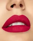 IN CONTROL LIP KIT JACLYN COSMETICS LINER & LIQUID LIPSTICK NEW (SET) FREE SHIP