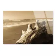 Old Log Driftwood & Sea Print 100% Australian Made 150 x 100cm (Acrylic)