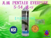 在飛比找Yahoo!奇摩拍賣優惠-【NianYing淨水】美國 Everpure S-54 除