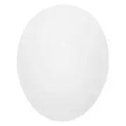 50pcs Hatched Eggs Fake Eggs Solid Fake Eggs Simulation