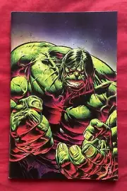 Incredible Hulk #19 LGY 800 1:100 Nic Klein Virgin Variant Marvel Comics 2024 NM