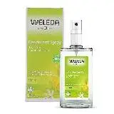 在飛比找遠傳friDay購物精選優惠-WELEDA 薇蕾德 柑橘體香劑 100ML(效期2024/