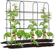 OTOSUNNY Garden Trellis for Climbing Plants Outdoor, 6 FT Tall Arch Tunnel, Metal A-Frame Netting Vegetable Fruit Flower, Cucumber Trellis Garden Raised Bed, Black (Garden Trellis MJ-HPZZ)