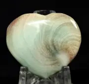 1PC Multicolor Shell Fossil Heart Polished Natural Crystal Mineral - Madagascar