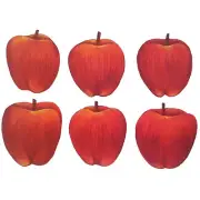 Tatouage Apples Dry rub transfer