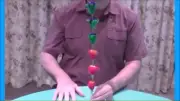 Magic Flowers on Stem Red Green Jump on Stick Learn Easy Magic Tricks