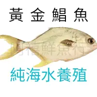 在飛比找蝦皮購物優惠-板橋阿禧鮮魚行｜黃金鯧｜ 紅衫｜ 金鯧魚｜武鯧魚