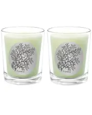 Qualitas Candles Cyprass Two Scented Beeswax Candle Set