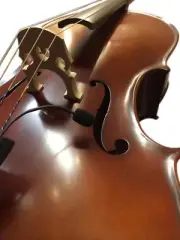 The Feather Full Sized Cello Pickup System by Myers Pickups