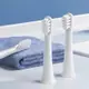 適配T100 米家電動牙刷頭3支裝 米家官方正品 呵護牙齒健康 清潔口腔 (8.3折)