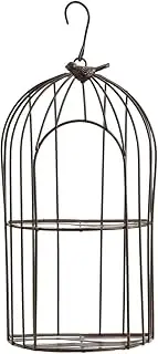 TJ Global 2-Plant Iron Birdcage Hanging Planter, Metal Wire Flower Pot Basket Wrought Iron Plant Stands for Plants, Flowers, Garden, Patio, Balcony Outdoor and Indoor Décor