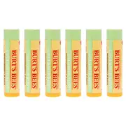 Burt's Bees Cucumber Mint Moisturizing Lip Balm by Burts Bees for Women - 0.15 oz Lip Balm - Pack of 6