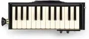 SUZUKI PRO-24B HAMMOND Bass Melodion Keyboard Harmonica Instrument NEW Japan