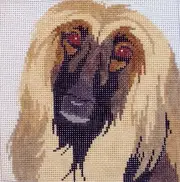 Afghan Hound Hand Painted Needlepoint Canvas