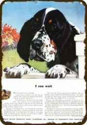 1942 ENGLISH SPRINGER SPANIEL Puppy Dog Vntg-Look DECORATIVE REPLICA METAL SIGN