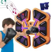 Smart Wall-Mounted Boxing Trainer for Kids & Adults - Home Sports Target