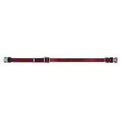 Prestige Pet 3/8 Inch Adjustable Nylon Puppy Collar Burgundy 23-36cm