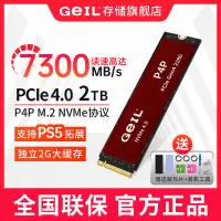 在飛比找蝦皮購物優惠-【現貨】GeIL金邦P4P 2TB/4TB 4.0PCle 