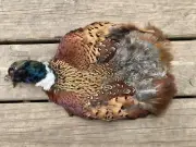 Rooster RINGNECK PHEASANT SKIN No Wings No Tail FLY TYING/Fishing 2nd Quality