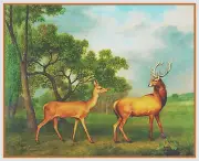 Naturalist Stubbs Red Deer Animal Counted Cross Stitch Pattern