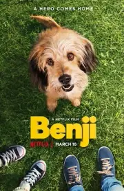 Benji poster - 11 x 17 inches