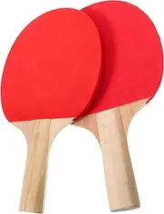 GANAZONO 1Pair Table Tennis Racket of Durable Paddles for Beginners for Table Tennis Training Skill Development Lightweight Portable Sports Equipment