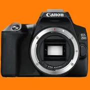 Canon EOS 250D Body Only Kit Box Black Digital Cameras - Brand New