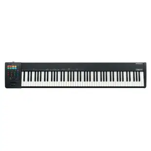 Roland 樂蘭 A-88MKII 88鍵 MIDI控制鍵盤 介面USB 2.0【A88MKII】