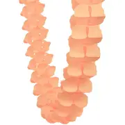 Coral Tissue Paper Honeycomb Garland (4m)