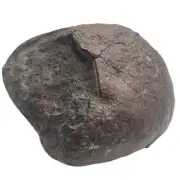 1510g NWA Chondrite Meteorite TE09