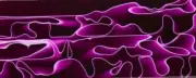 Plum Water BTW89KSM Acrylic (2 pc) Knife Scales 1/4" x 1 1/2" x 5"