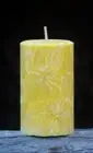 200hr MOLD MOULD DETERRENT Candle CINNAMON BARK CLOVES ROSEMARY LEMON BLUE GUM