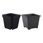 Well Ventilated Black Square Planters Encouraging Root Health and Growth